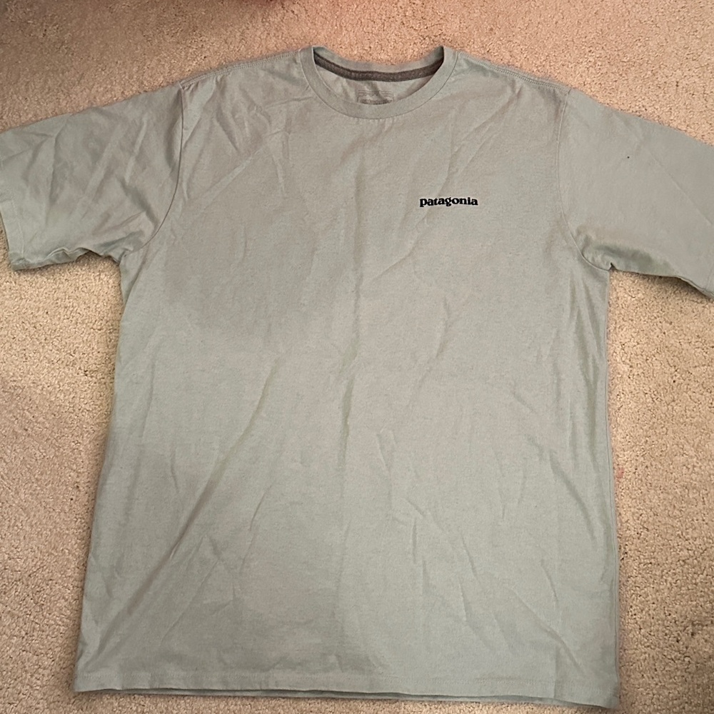 Patagonia Men's Light green Short Sleeve Tee